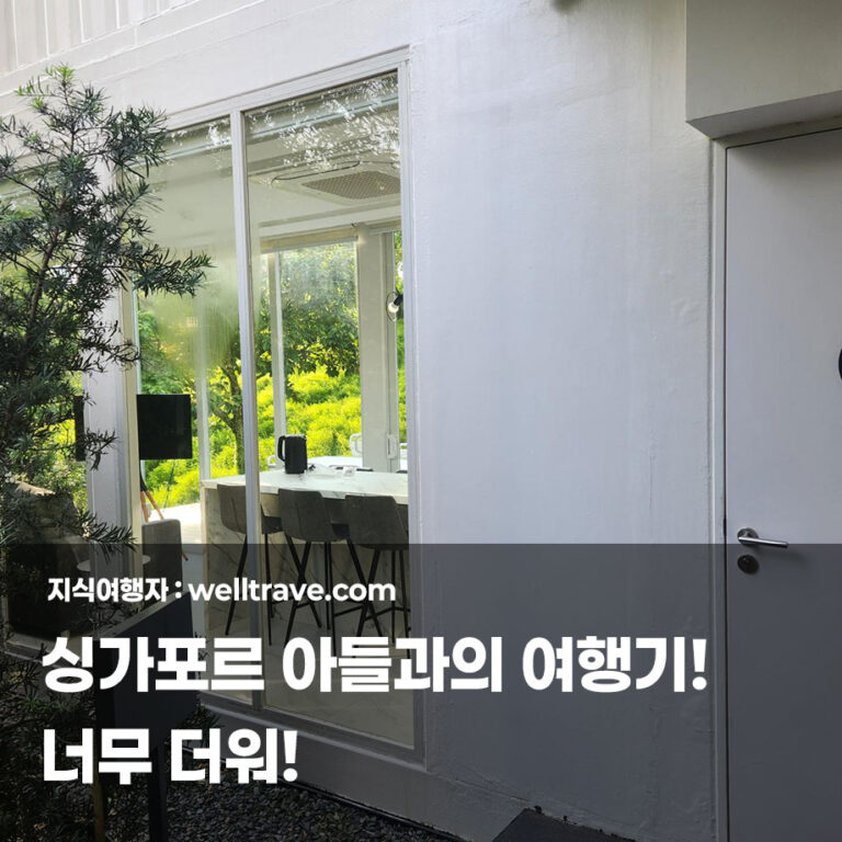 싱가포르 아들과의 여행기! 너무 더워!