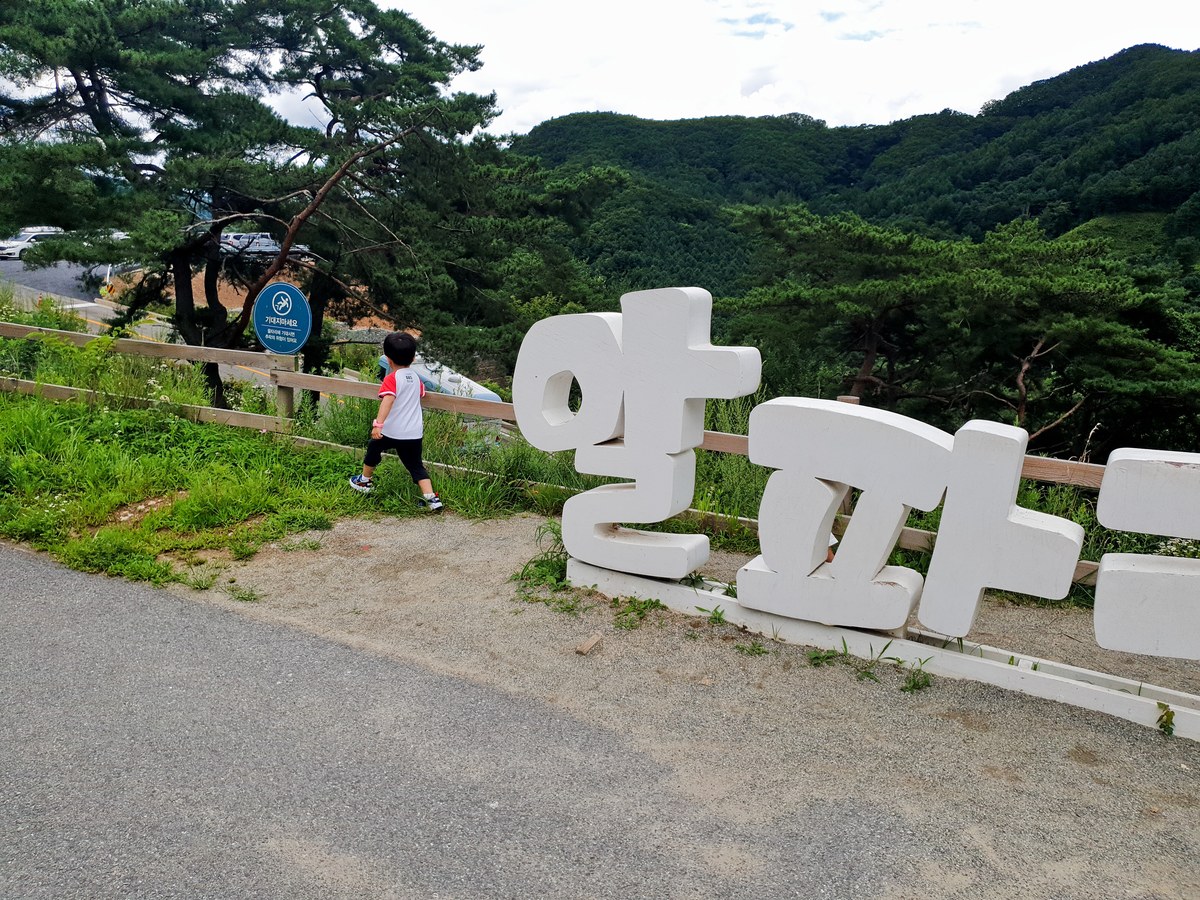 강원도 홍천 알파카월드