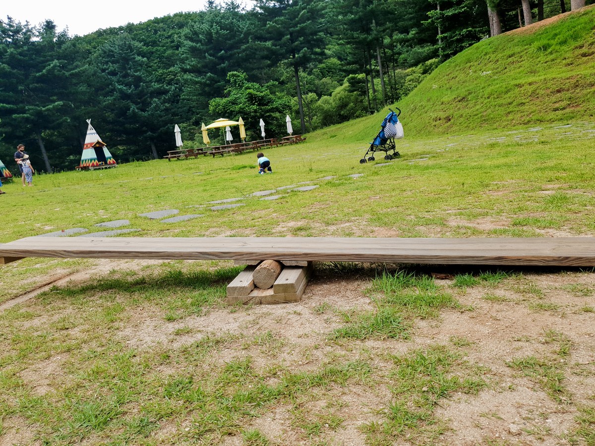 강원도 홍천 알파카월드