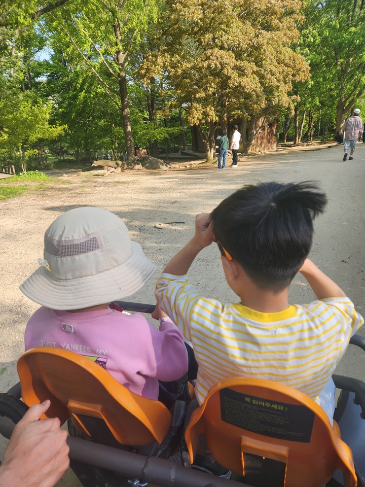 가평 남이섬 가족 여행, 아이랑 전기 자전거 타고 한 바퀴!