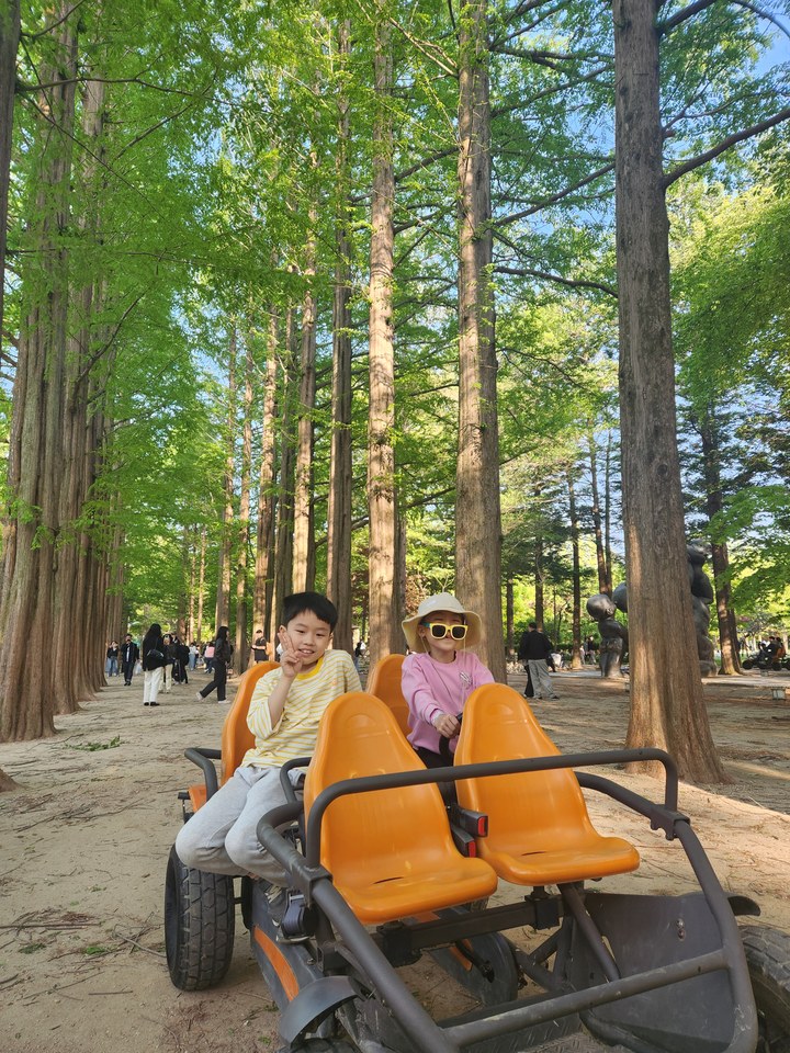 가평 남이섬 여행