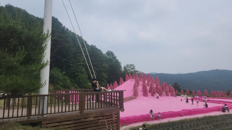포천허브아일랜드 핑크썰매, 아이랑 이색 나들이 다녀왔어요!