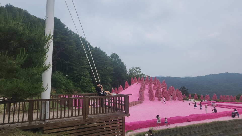 포천허브아일랜드 핑크썰매