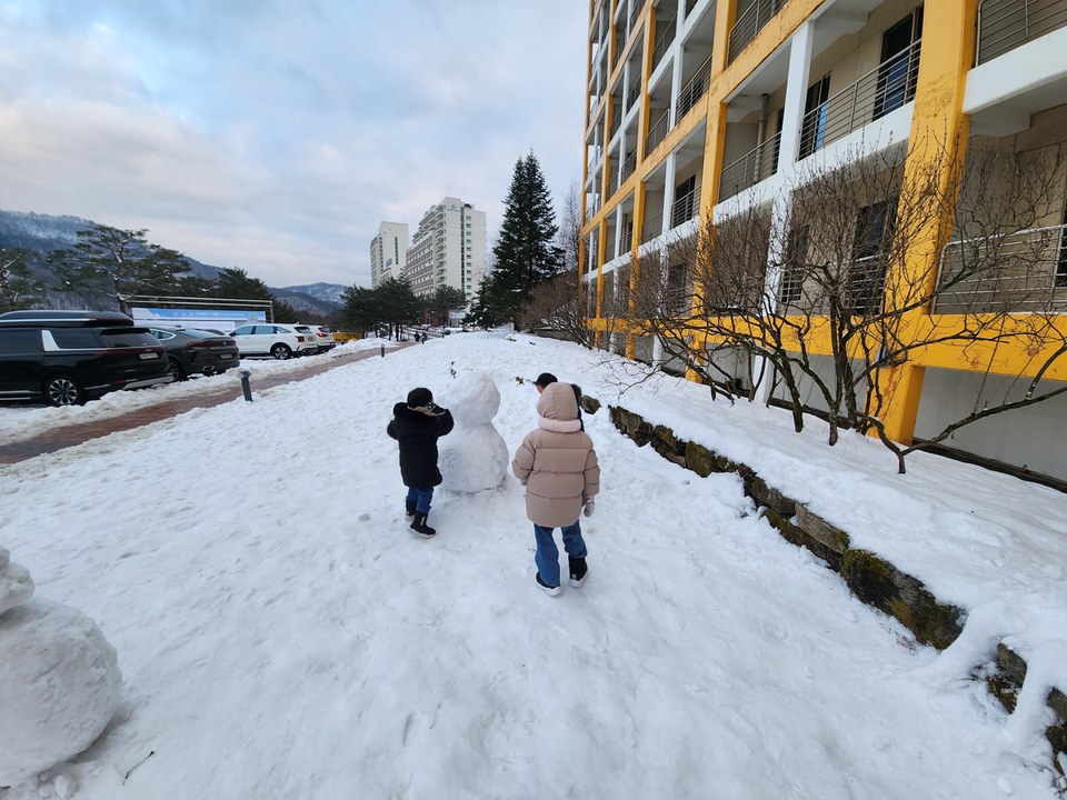 휘닉스파크 겨울 여행
