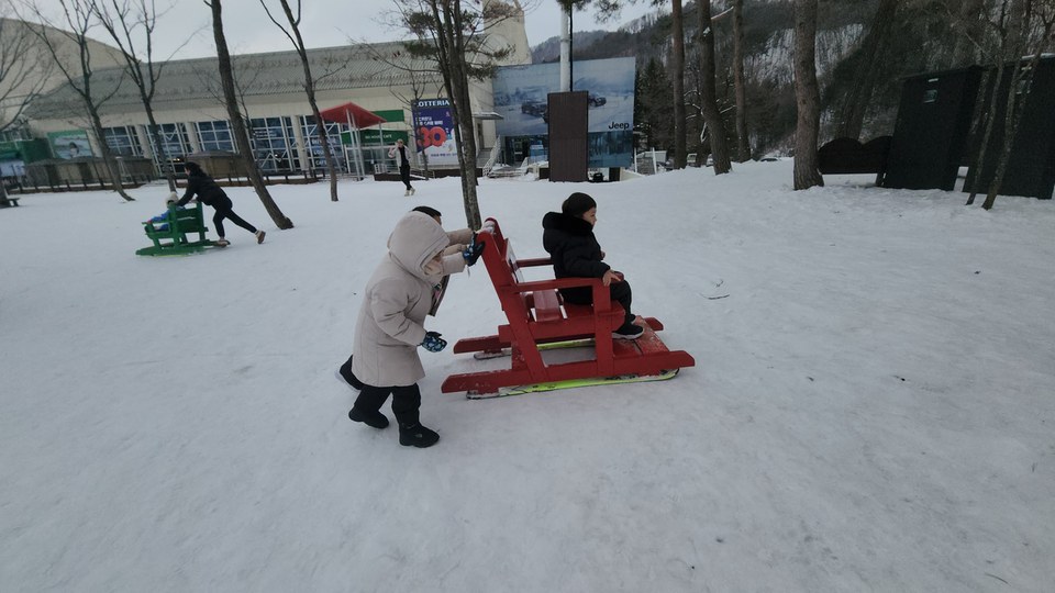 휘닉스파크 겨울 여행