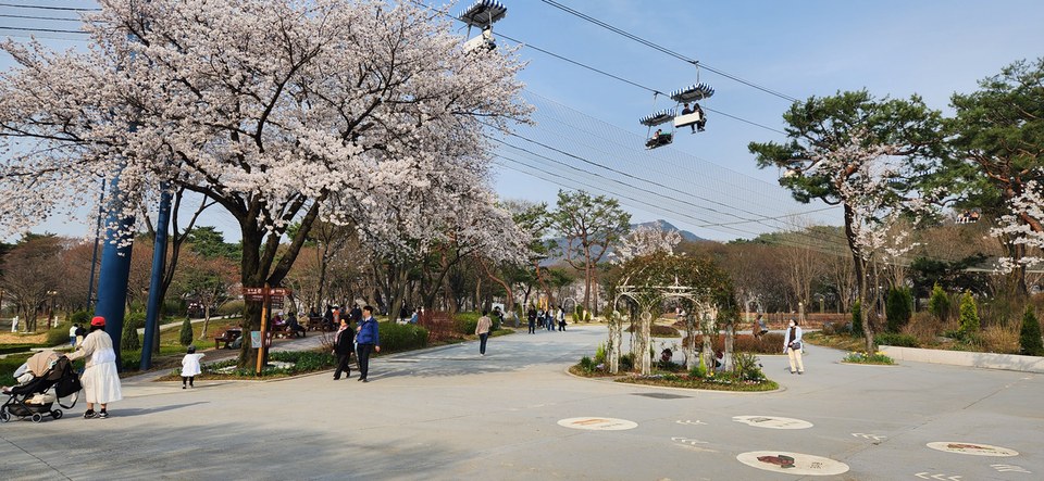 서울대공원 봄 나들이