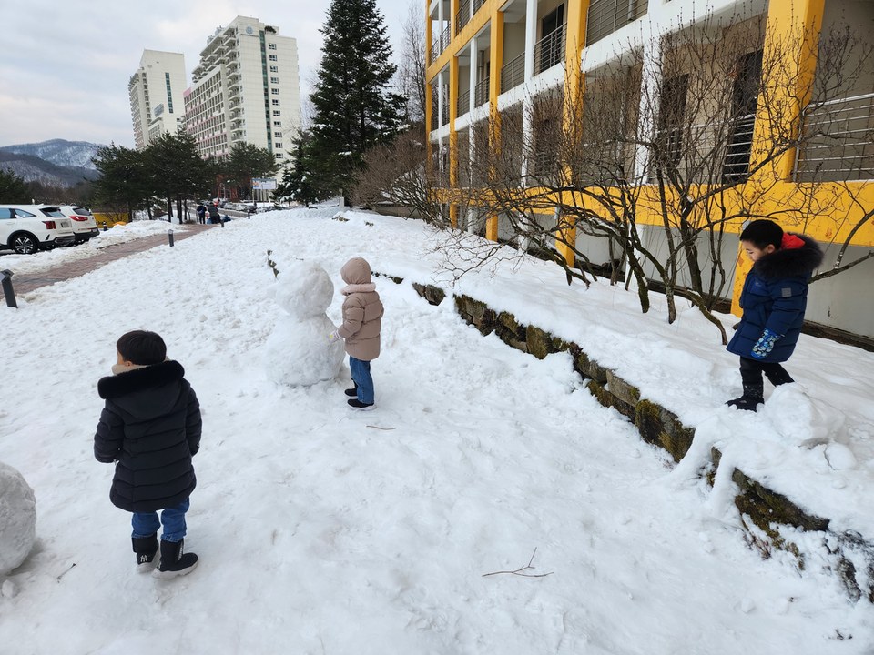 휘닉스파크 겨울 여행